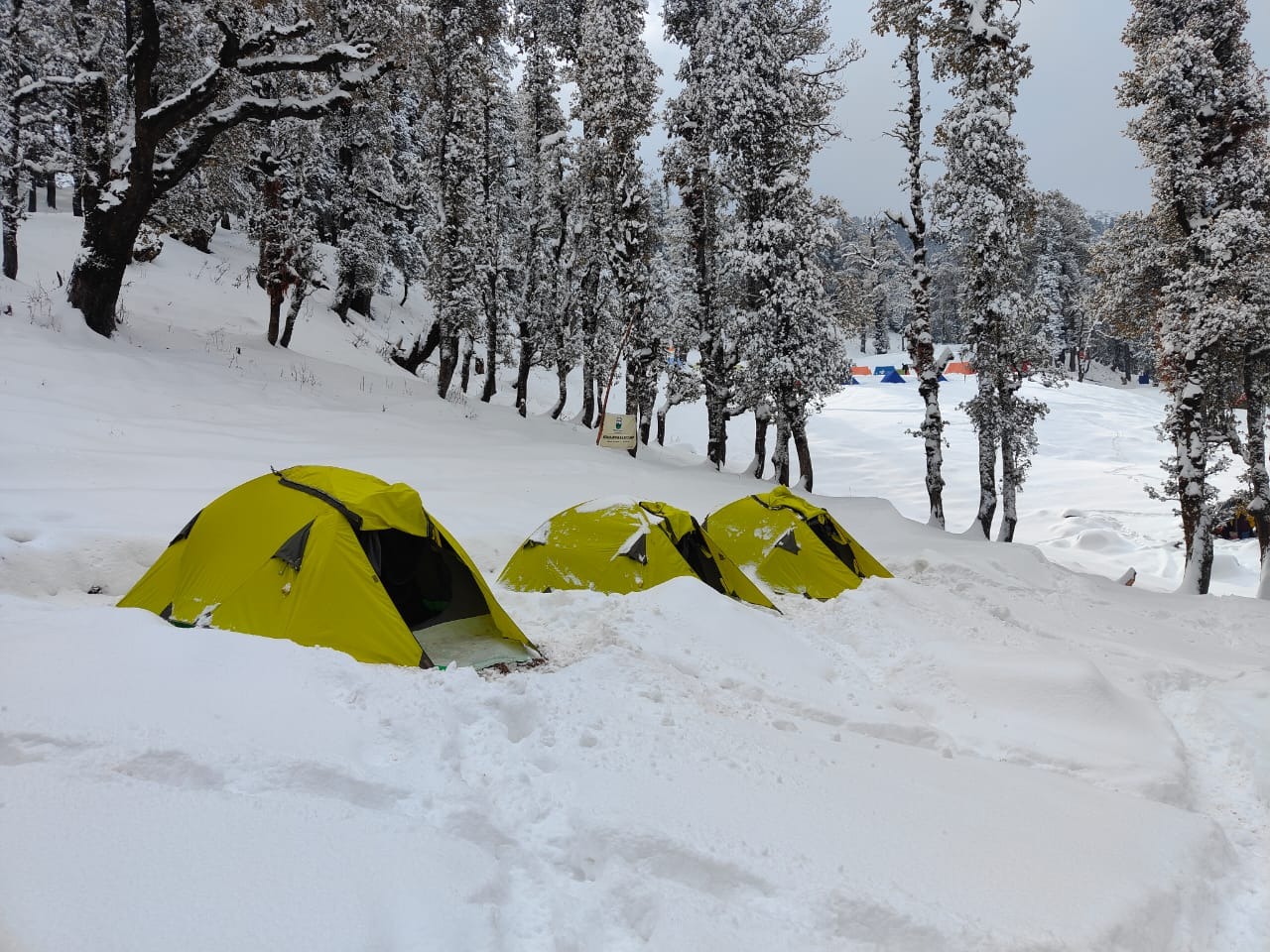 Top Places to Visit Near Kedarkantha Trek: Hidden Gems You Shouldn’t Miss