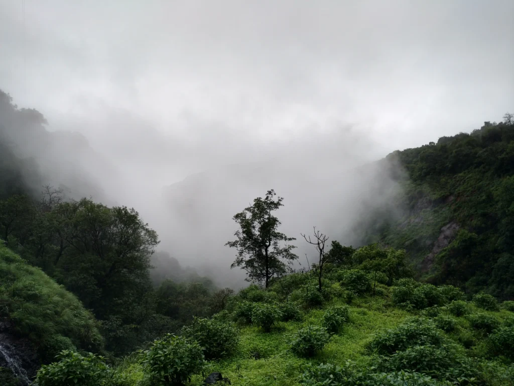 Andharban Jungle Trek