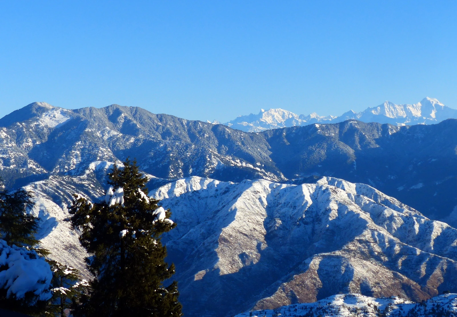 Nag Tibba Trek 2026: Complete Guide for First-Time Trekkers