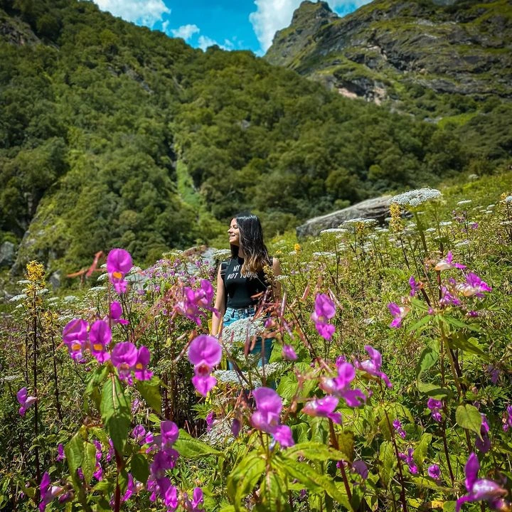 Valley of Flowers Trek