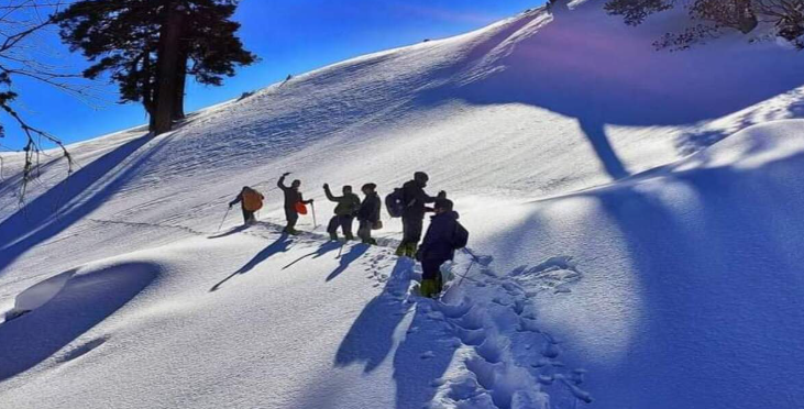 10 Things Nobody Tells You Before the Kuari Pass Trek